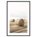 Wall Poster Haystack - rural landscape overlooking brown fields during harvest 137688 additionalThumb 14