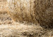 Wall Poster Haystack - rural landscape overlooking brown fields during harvest 137688 additionalThumb 7