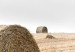 Wall Poster Haystack - rural landscape overlooking brown fields during harvest 137688 additionalThumb 6
