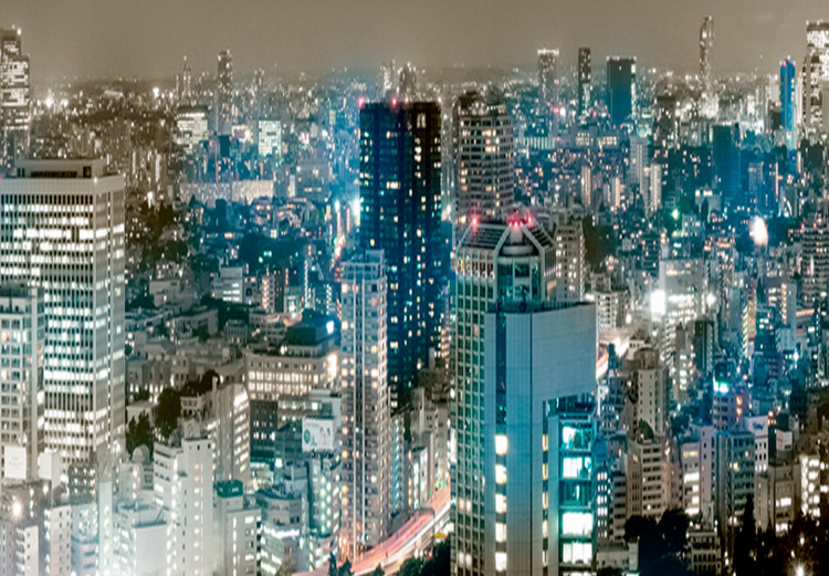 Large canvas print Tokyo Panorama [Large Format] 149088 additionalImage 5