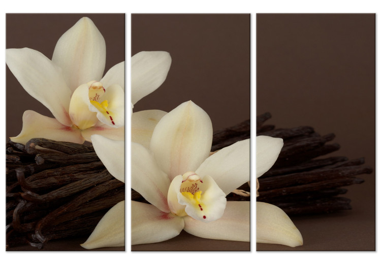 Canvas Print Orchid With Vanilla (3 Parts) 150088