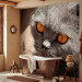 Wall Mural Animal in the picture - portrait of a grey cat with orange eyes 90088 additionalThumb 8