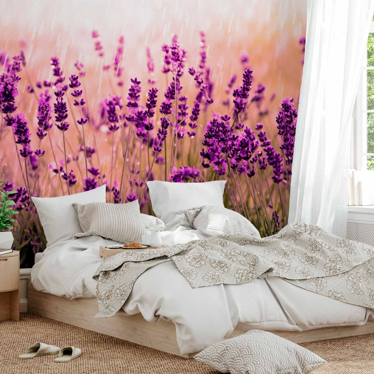 Wall Mural Lavender in the rain - landscape of a meadow with purple flowers and a blurred background 92588 additionalImage 2