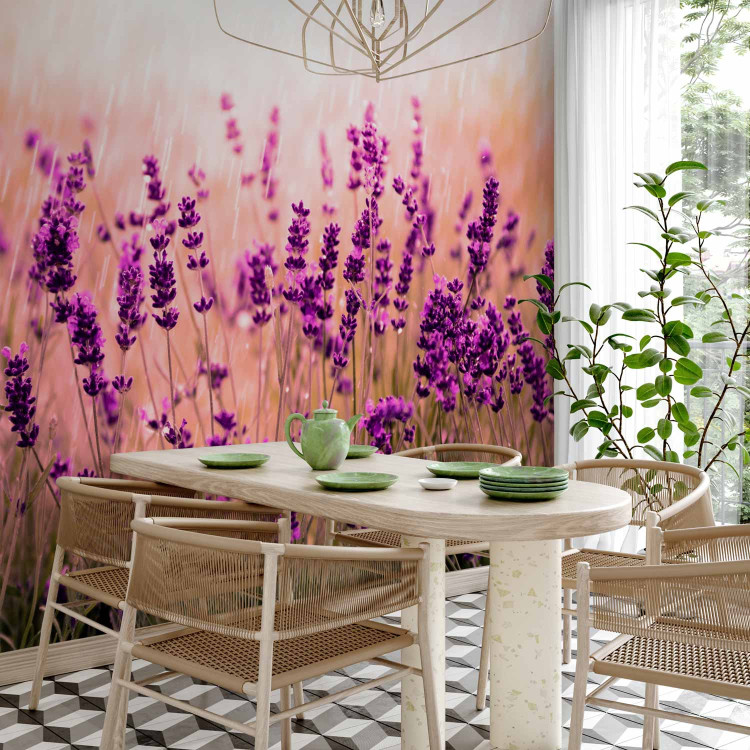 Wall Mural Lavender in the rain - landscape of a meadow with purple flowers and a blurred background 92588 additionalImage 4
