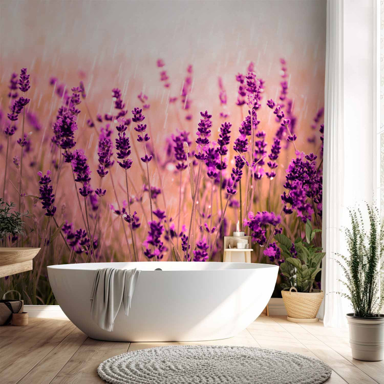 Wall Mural Lavender in the rain - landscape of a meadow with purple flowers and a blurred background 92588 additionalImage 8