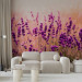 Wall Mural Lavender in the rain - landscape of a meadow with purple flowers and a blurred background 92588