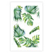 Wall Poster Jungle Vibe - tropical green composition with a botanical motif 114298 additionalThumb 19