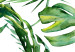 Wall Poster Jungle Vibe - tropical green composition with a botanical motif 114298 additionalThumb 10