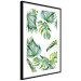 Wall Poster Jungle Vibe - tropical green composition with a botanical motif 114298 additionalThumb 13