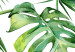Wall Poster Jungle Vibe - tropical green composition with a botanical motif 114298 additionalThumb 9