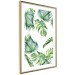 Wall Poster Jungle Vibe - tropical green composition with a botanical motif 114298 additionalThumb 8