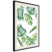 Wall Poster Jungle Vibe - tropical green composition with a botanical motif 114298 additionalThumb 3