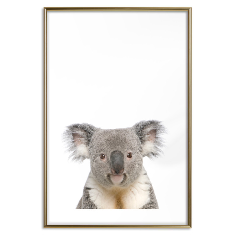 Poster Koala - composition for children with a gray and white Australian mammal 114398 additionalImage 16