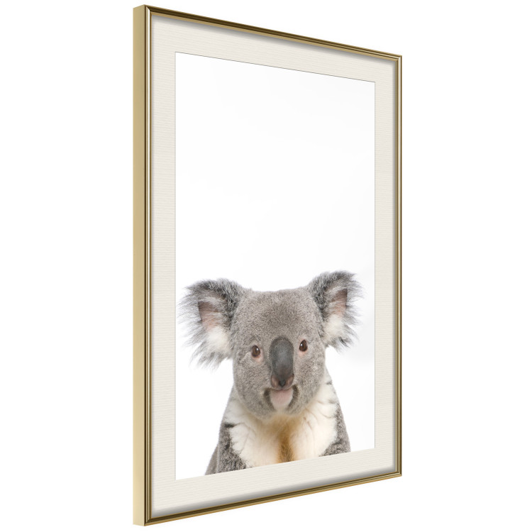 Poster Koala - composition for children with a gray and white Australian mammal 114398 additionalImage 2