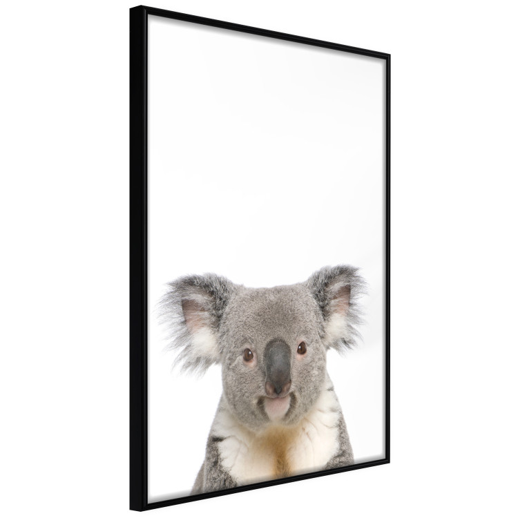 Poster Koala - composition for children with a gray and white Australian mammal 114398 additionalImage 12