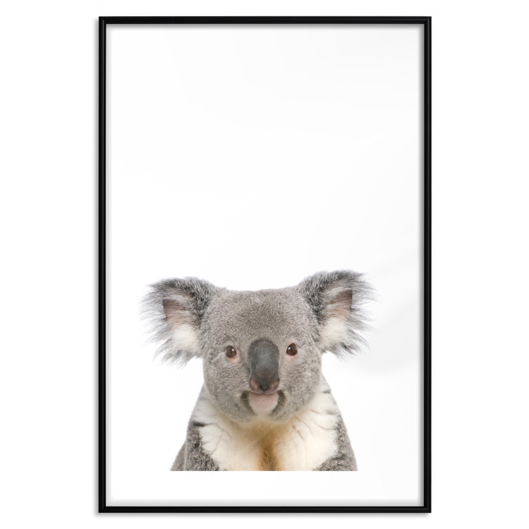 Poster Koala - composition for children with a gray and white Australian mammal 114398 additionalImage 17