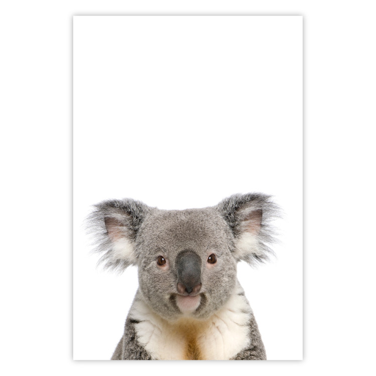 Poster Koala - composition for children with a gray and white Australian mammal 114398