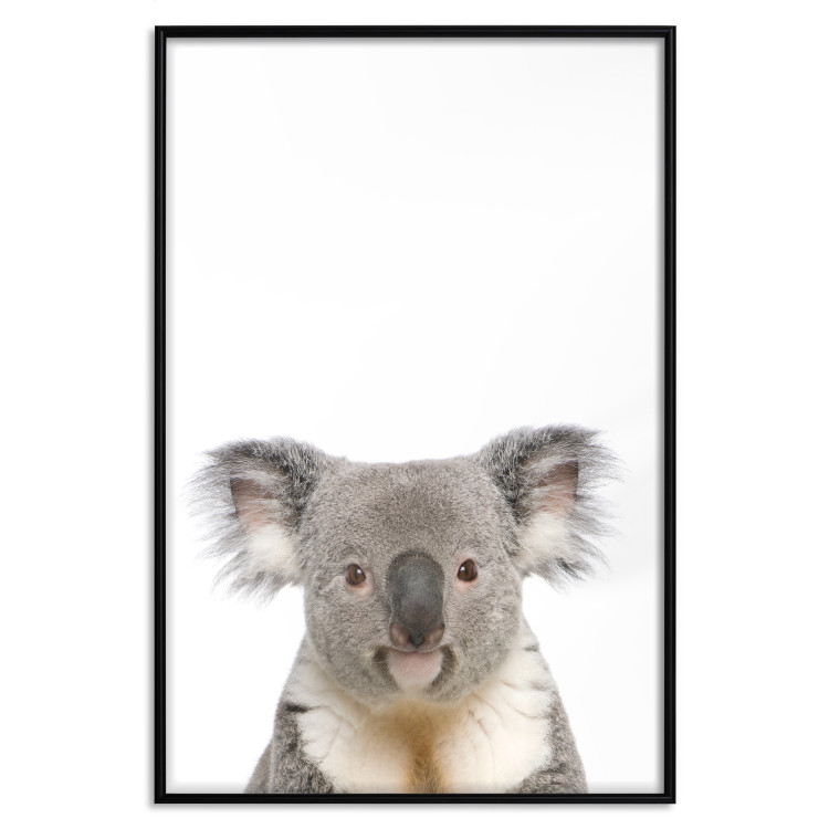 Poster Koala - composition for children with a gray and white Australian mammal 114398 additionalImage 24