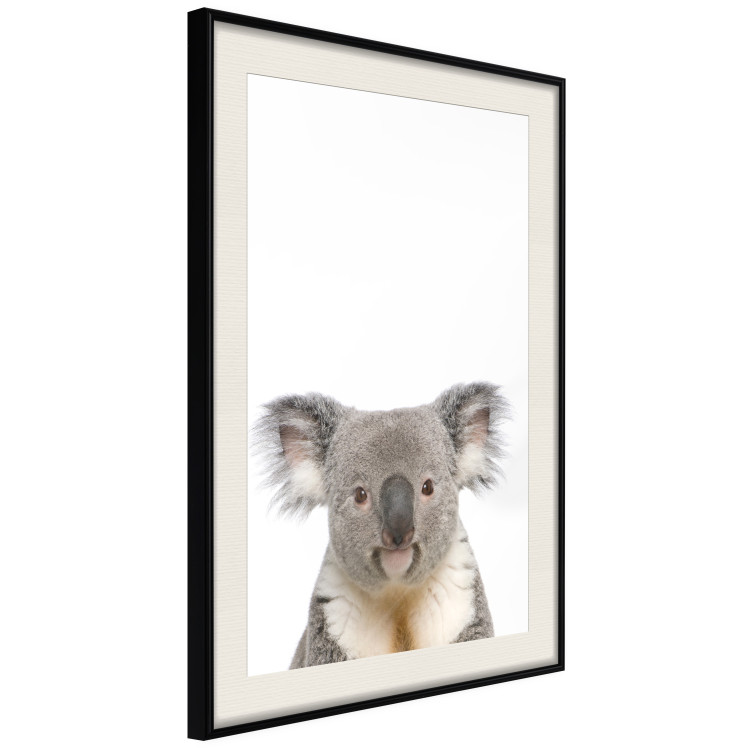 Poster Koala - composition for children with a gray and white Australian mammal 114398 additionalImage 3