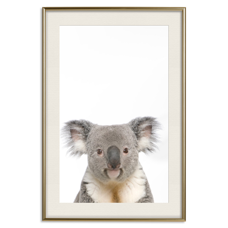 Poster Koala - composition for children with a gray and white Australian mammal 114398 additionalImage 19