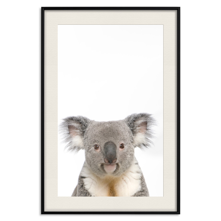 Poster Koala - composition for children with a gray and white Australian mammal 114398 additionalImage 18