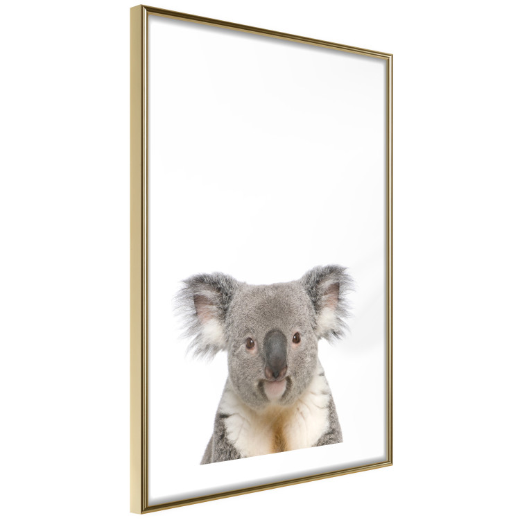 Poster Koala - composition for children with a gray and white Australian mammal 114398 additionalImage 8