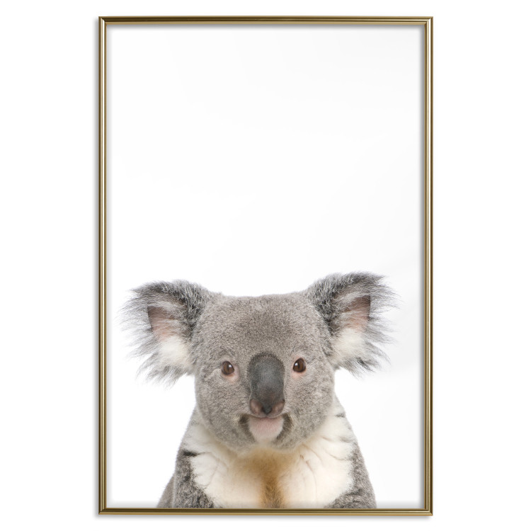 Poster Koala - composition for children with a gray and white Australian mammal 114398 additionalImage 20