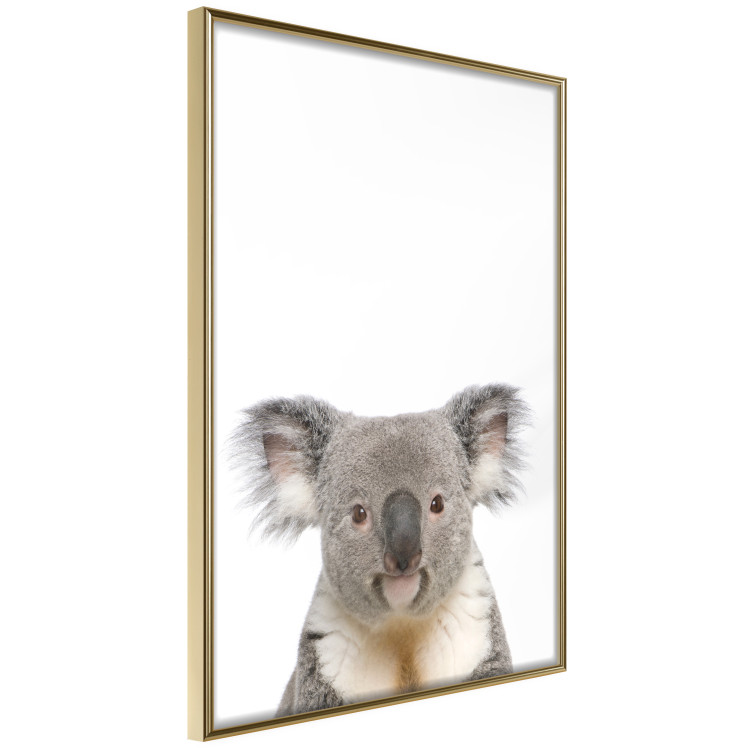 Poster Koala - composition for children with a gray and white Australian mammal 114398 additionalImage 14