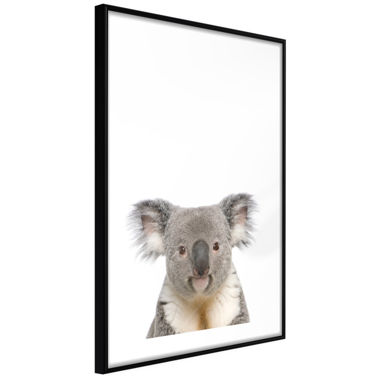 Poster Koala - composition for children with a gray and white Australian mammal 114398 additionalImage 13