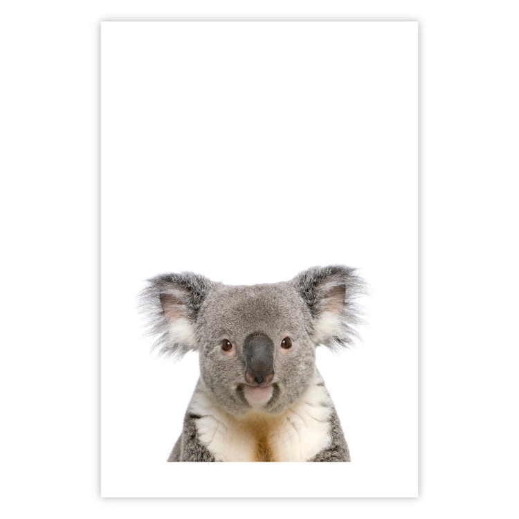 Poster Koala - composition for children with a gray and white Australian mammal 114398 additionalImage 25