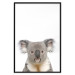 Poster Koala - composition for children with a gray and white Australian mammal 114398 additionalThumb 24
