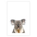 Poster Koala - composition for children with a gray and white Australian mammal 114398 additionalThumb 25