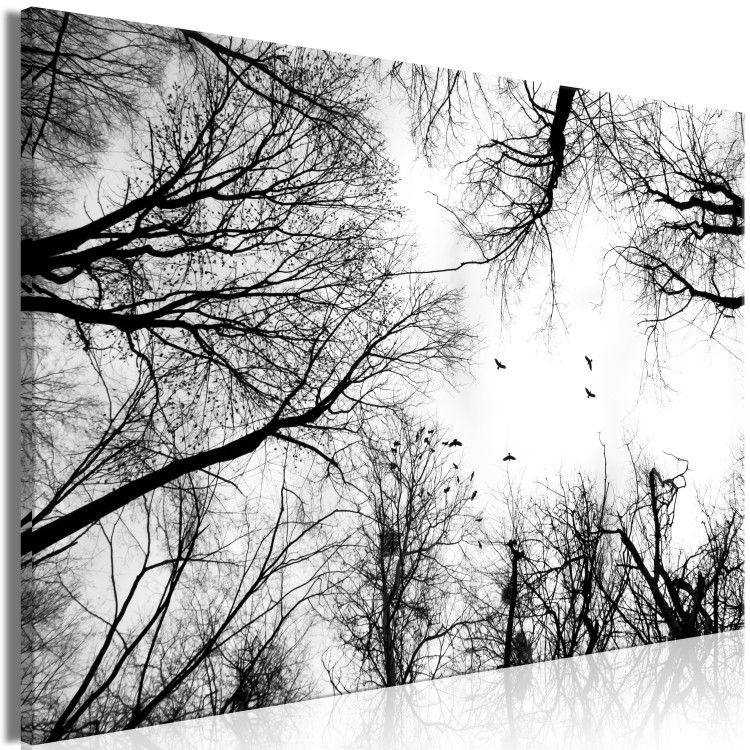 Canvas Art Print Winter Birds' Sky (1-part) - Black and White Landscape of Nature 114898 additionalImage 2