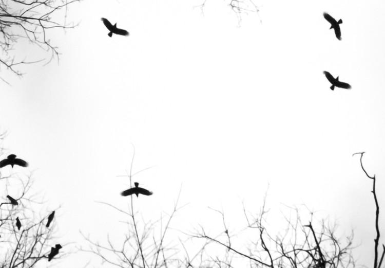 Canvas Art Print Winter Birds' Sky (1-part) - Black and White Landscape of Nature 114898 additionalImage 4
