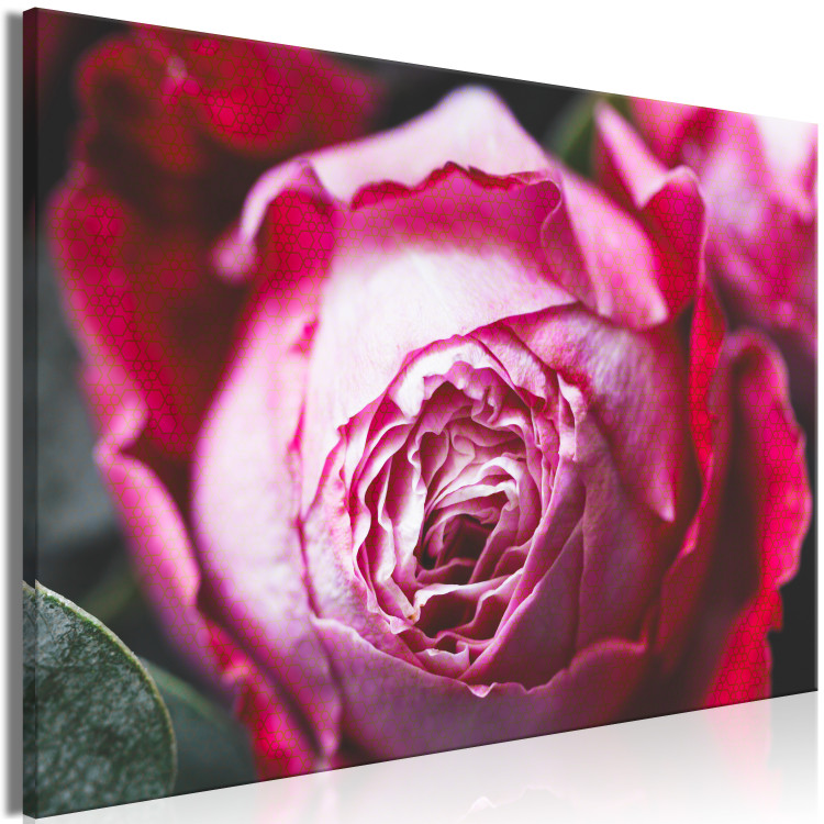 Canvas Art Print Rose - close-up of a classic pink flower on a geometric background 117198 additionalImage 2