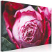 Canvas Art Print Rose - close-up of a classic pink flower on a geometric background 117198 additionalThumb 2