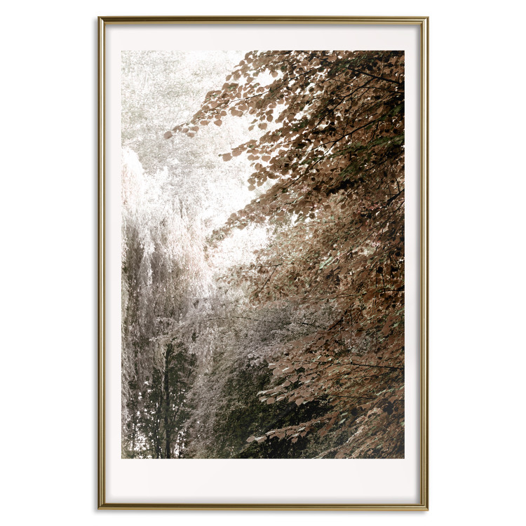Poster Sepia Park - autumn landscape with a view of dense trees 119198 additionalImage 16