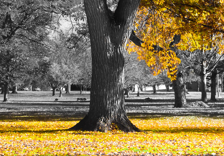 Large canvas print Autumn in the Park (Gold) [Large Format] 125598 additionalImage 4