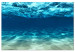 Canvas Art Print Ocean Glow (1-part) wide - underwater world nature landscape 128798
