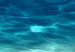 Canvas Art Print Ocean Glow (1-part) wide - underwater world nature landscape 128798 additionalThumb 4