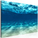Canvas Art Print Ocean Glow (1-part) wide - underwater world nature landscape 128798 additionalThumb 2