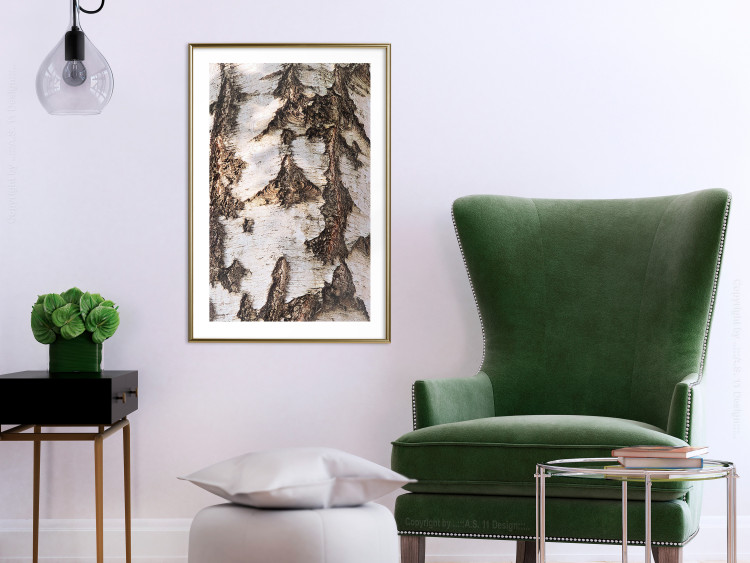 Poster Beautiful Texture - birch tree bark texture in light color 130798 additionalImage 15