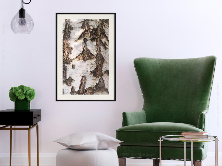 Poster Beautiful Texture - birch tree bark texture in light color 130798 additionalImage 24