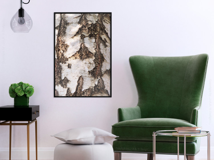 Poster Beautiful Texture - birch tree bark texture in light color 130798 additionalImage 6