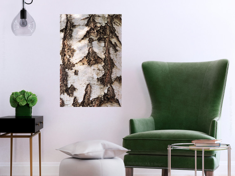 Poster Beautiful Texture - birch tree bark texture in light color 130798 additionalImage 2