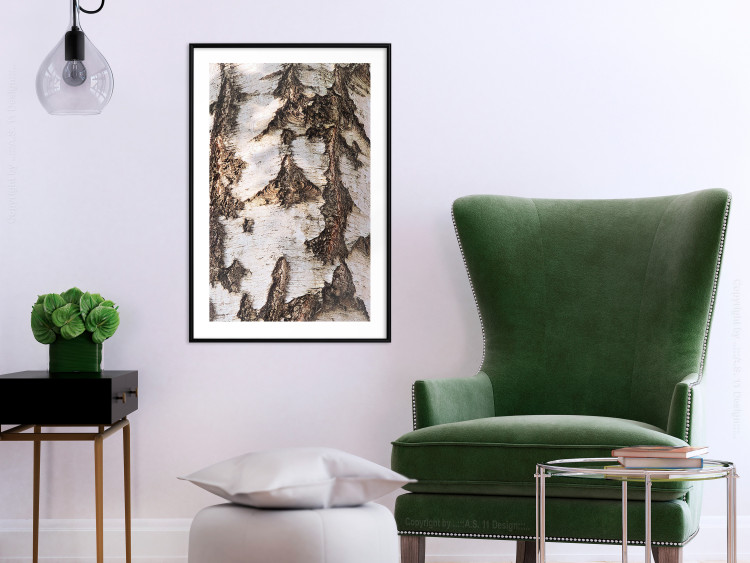 Poster Beautiful Texture - birch tree bark texture in light color 130798 additionalImage 23
