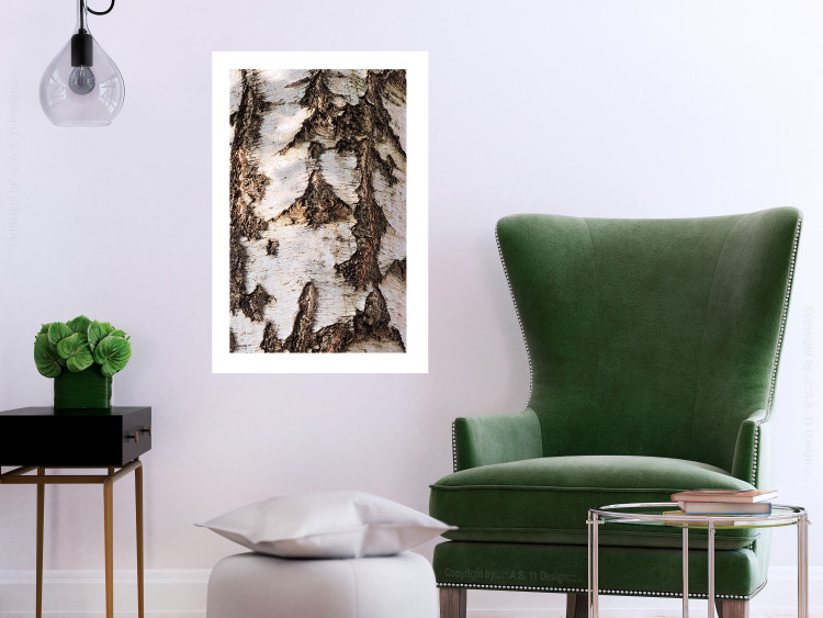 Poster Beautiful Texture - birch tree bark texture in light color 130798 additionalImage 5