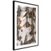 Poster Beautiful Texture - birch tree bark texture in light color 130798 additionalThumb 8