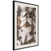 Poster Beautiful Texture - birch tree bark texture in light color 130798 additionalThumb 2
