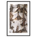 Poster Beautiful Texture - birch tree bark texture in light color 130798 additionalThumb 15